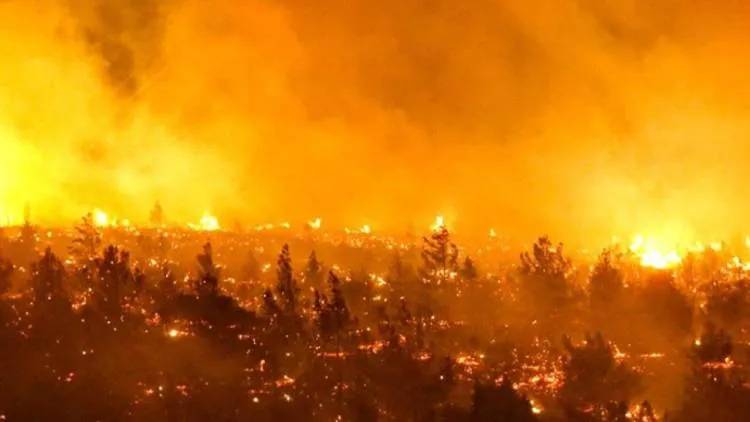 Trágico incendio en Chile, ya afectó a más de 3000 casas y provocó más de 100 fallecidos