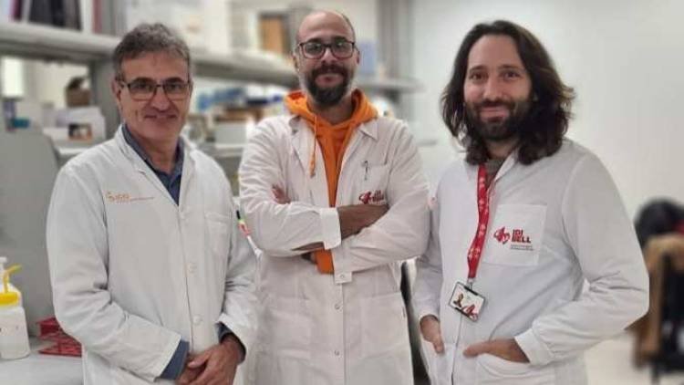 Científicos catalanes preparan un virus para combatir el cáncer