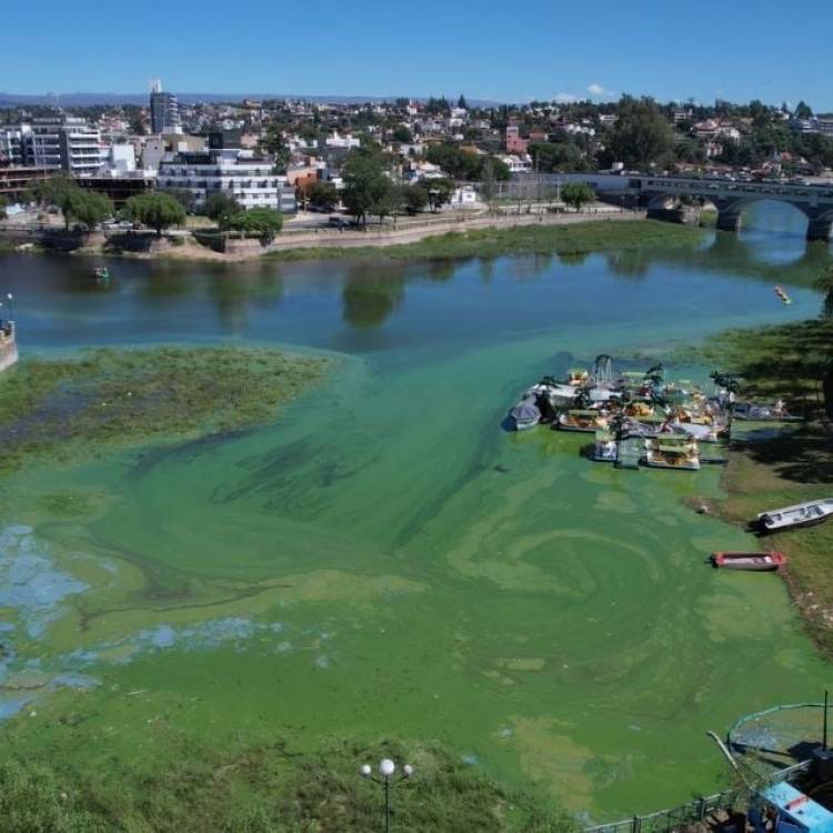 La Justicia exige a la Provincia un informe urgente sobre las tareas que realizan para limpiar el Lago San Roque