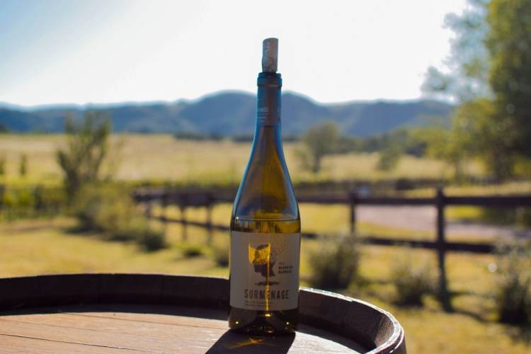 El turismo gastronómico será gran protagonista el próximo fin de semana largo