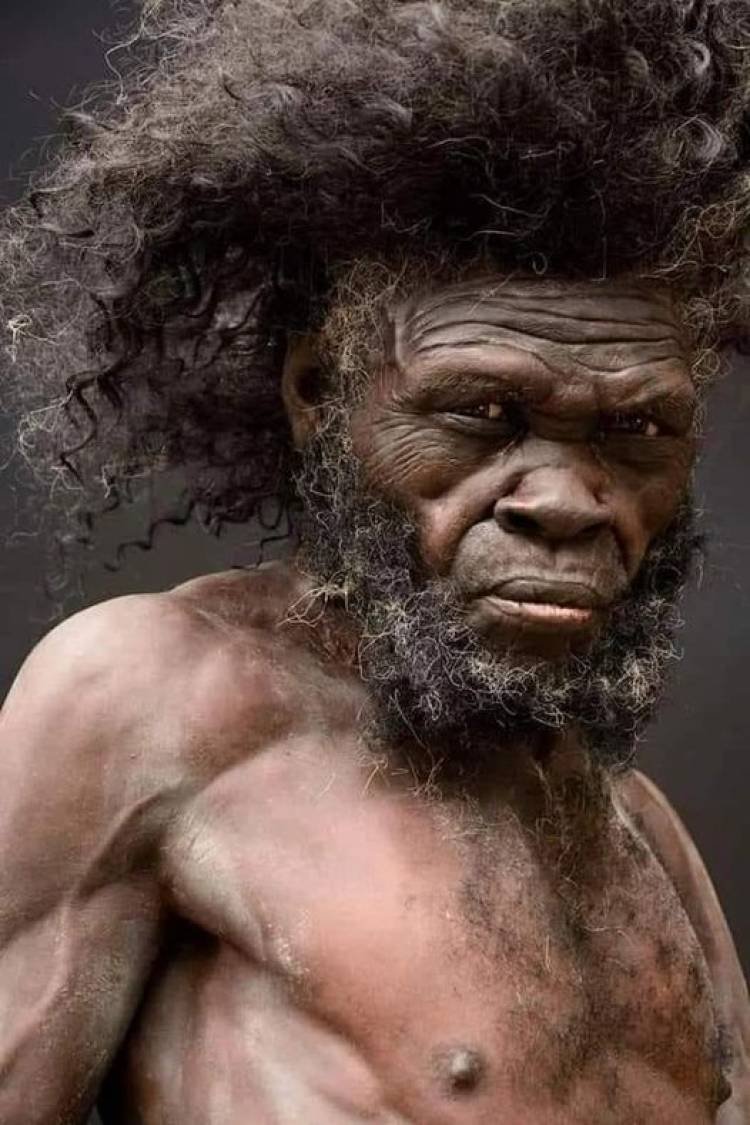 Los científicos siguen descubriendo vínculos evolutivos