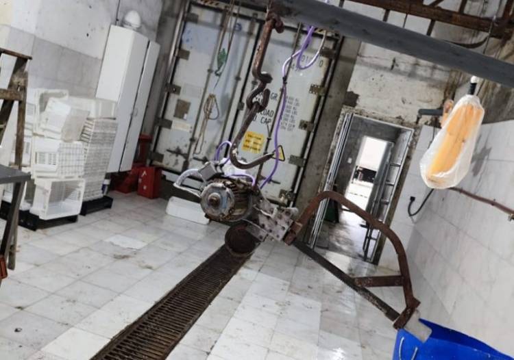 Allanaron establecimientos clandestinos en localidades del Departamento General Roca
