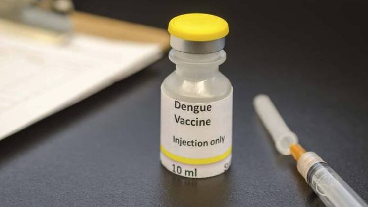 Anunciaron la incorporación de la vacuna contra el dengue de forma focalizada