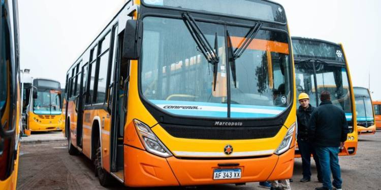 Colectivos 0km. se sumarán al servicio en la línea 42 de transporte