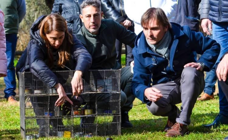 Con forestación y suelta de aves, la Reserva Francisco Tau festejó su 82° aniversario 