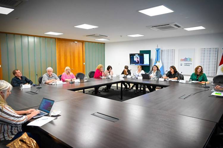 La Comisión de Cultura debate la creación de una ley de museos de la Provincia