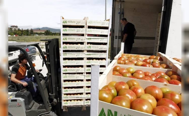 Flexibilizan la importación de alimentos para forzar la baja de precios