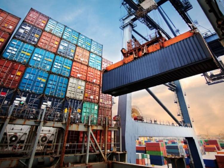 Anularon  el Sistema Estadístico de Importaciones
