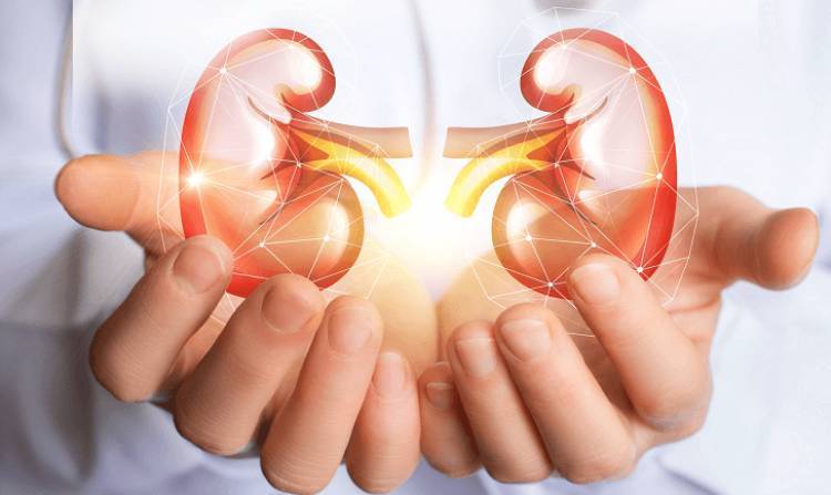 Y tus riñones, ¿cómo están?