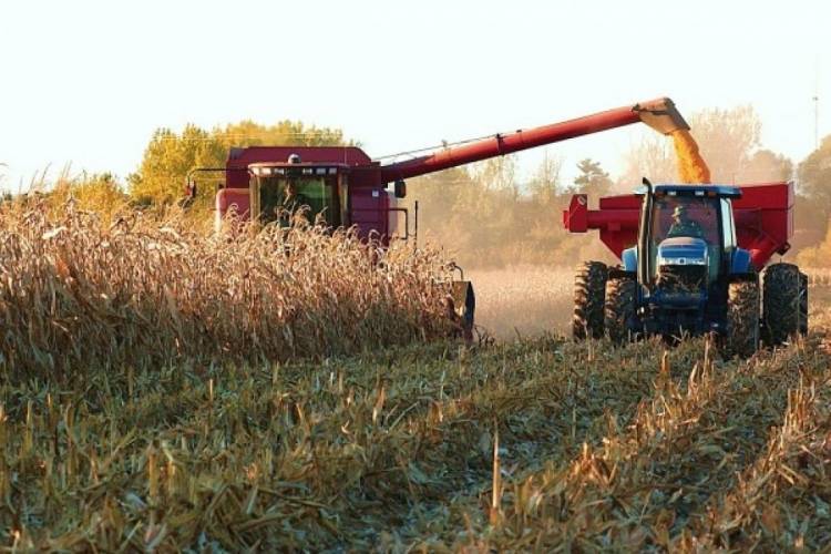 El Gobierno Nacional eliminó el RUCA