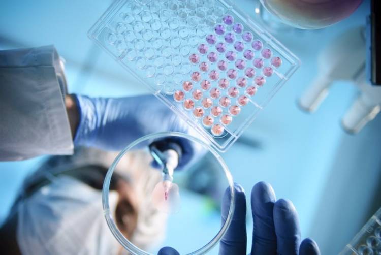 Una nueva esperanza contra las metástasis: Crean moléculas que destruyen células cancerosas resistentes