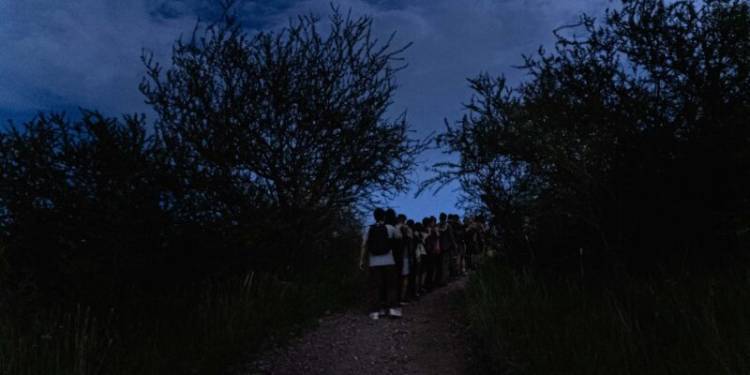 Plan para este jueves: Explorá la Reserva Natural General San Martín de noche