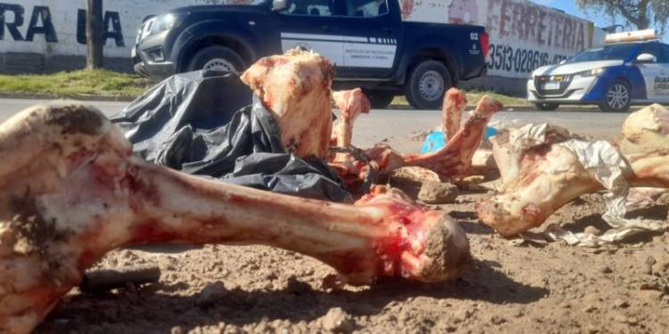 Vecinos alertaron al IPA y la Municipalidad clausuró un frigorífico por contaminación