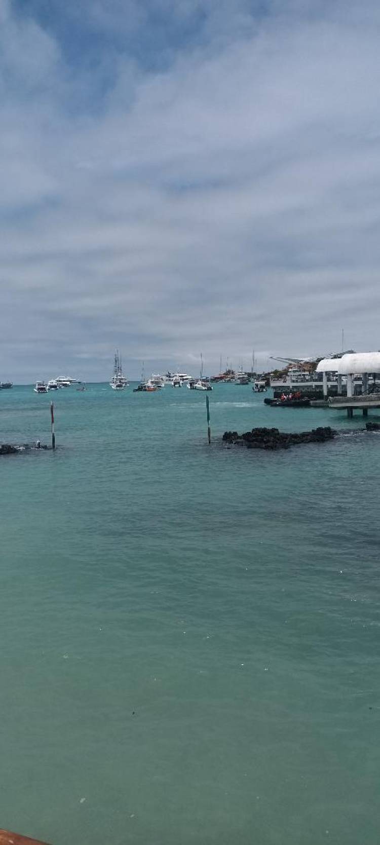 Galápagos, la tierra de Darwin