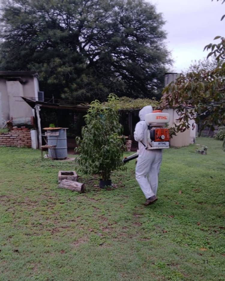 Mosquitos bajo control: Salsipuedes promueve la participación ciudadana para prevenir arbovirosis