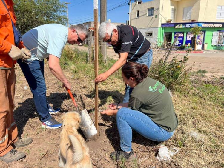 Arroyito avanza hacia una ciudad más verde con la plantación de 110 nativos
